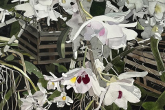White Dendrobium 22.5x39